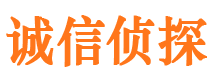 武汉市调查公司